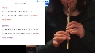 Tin Whistle: Denis Murphy's Slide