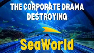The Corporate Drama Destroying SeaWorld Parks