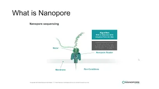 nanopore base calling with Guppy GPU