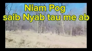 Neej neeg Niam pog saib nyab tau me ab 4-15-24 #video #hmong #hmongstories