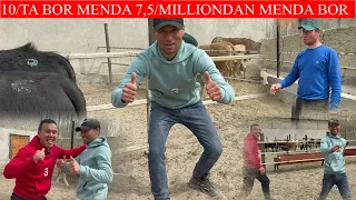 10/TA BOR MENDA 7,5/MILLIONDAN AHRORJON AVJIDA HAMMADAN 1/MILLIONDAN ARZON SOTAMAN JAVOB