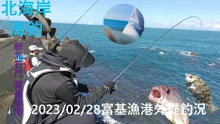 【北海岸海釣】北海岸富基漁港 春天季節釣況分享(Fuji Fishing Port of Taiwan’s Northern Coast) 2023/02/28