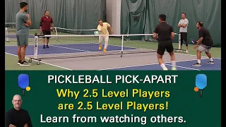 Pickleball Play at the 2.5 Level.  Learn from Watching!
