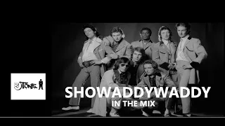 DJ TONE 🎧 SHOWADDYWADDY In The Mix 🔊💥✈️😮🍺⛱️🌊🌴☀️💬👌