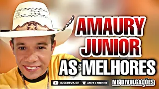 AMAURY JUNIOR O FERA DO BAILÃO - SO AS MELHORES DO AMAURY JUNIOR