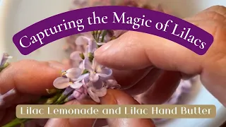 Lilacs Are The Best - Meditate while Making Simple Syrup and Body Butter - Flower Series Vol. 4