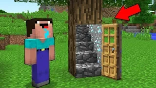 Minecraft Battle - NOOB vs PRO : NOOB FOUND SECRET ENTRANCE IN TREE! (Animation)