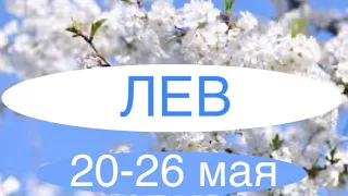 ЛЕВ таро прогноз на неделю 20-26 мая 2024