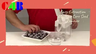 Cherry Seed Extraction Machine Core Seed Remover