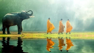 Buddhist Thai Monks Chanting Mantra for Healing and Positive Energy