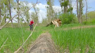 Лесопарк Красный кут Краснодар на велосипеде