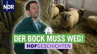 Der Bock muss weg! | Hofgeschichten: Leben auf dem Land (226) | NDR