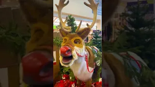 Deer singing Jingle bells #shorts #christmas #jinglebells #animals #deer #toys