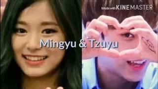 SEVENTEEN Mingyu and Twice Tzuyu moments