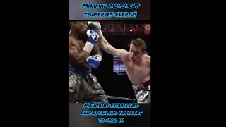 Mayweather's Shoulder Roll! (Advanced Defense!) #shorts #boxing