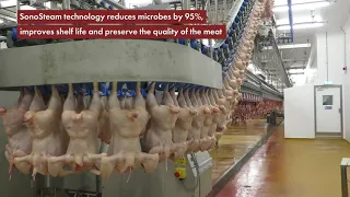 SonoSteam technology for poultry decontamination