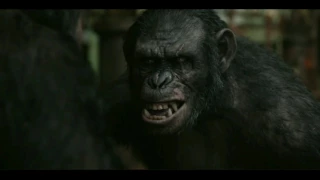 Planet of the apes: Koba - Animal I have become MV