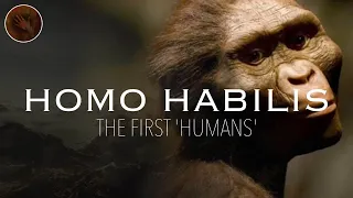 Homo Habilis: The First 'Humans' | Prehistoric Humans Documentary