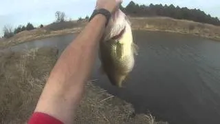 Short clip of 5+ pounder caught on the Chatterbait.