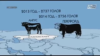 Агросектор. Разведение ангусов и герефордов