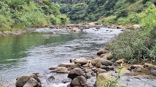 基隆河釣魚趣 暖暖四腳亭 20240220