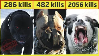 8 Most Strongest Dangerous and Fearless Dog Breeds In Hindi/Urdu | Largest Dog Breeds | Pet dogs .