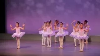 Doll House - Ballet Performance (The Little Dance World)