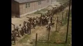 Escape from Sobibor (escape scene)