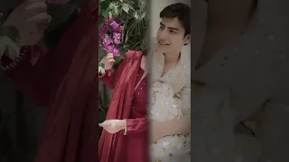 Saboor Ali and Khushhal Khan Cute Edit Video💕 #shorts #whatsapp_status #viral #uniquefashionideas