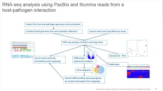 Long Read Sequencing Analysis