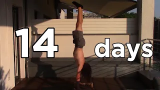 I Learned the Handstand in 14 days (training every day)
