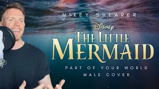 Part of Your World | The Little Mermaid | Mikey Shearer | Male Version