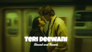 Teri Deewani (𝗦𝗹𝗼𝘄𝗲𝗱 𝗮𝗻𝗱 𝗥𝗲𝘃𝗲𝗿𝗯)