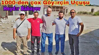 Heydər Babayev 1000-den Çox Göyərçin Uçurtdu 2ci Hisse