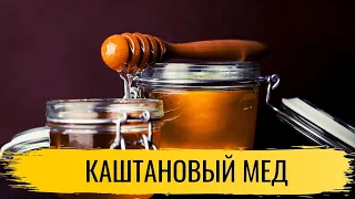 Мед. Каштановый мед