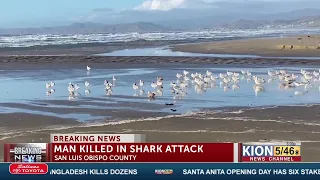 Surfer reported dead from apparent shark attack in Morro Bay