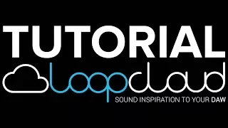 Loopcloud is AWESOME, Free Samples & Syncing with Ableton Live