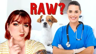 Why (Some) Vets Hate Raw | (And How To Talk To Your Vet About Raw Diets)