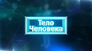 Тело человека 12.03.2019 Анорексия