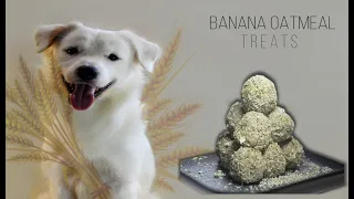 BANANA OATMEAL TREATS | NO BAKE DOG TREATS