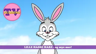 Lille Hasse hare - og mye mer! | Norske barnesanger - 40 min