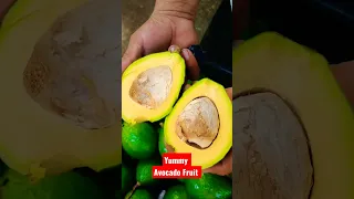 FRESHLY PICK AVOCADO FRUIT / HOW TO PICK AVOCADO #shorts #reels #fruits