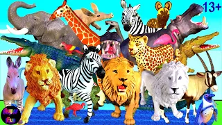 Animals Lion Leopard Zebra Giraffe Hippo Crocodile Oryx African Wild Dog Aardvark  Mamba Snake 13+