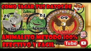 Como sacar tus datos de Animalito Metodo Efectivo Y Facil 2018 EL BRUJO RULETERO