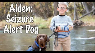 Aiden: Seizure Alert Dog