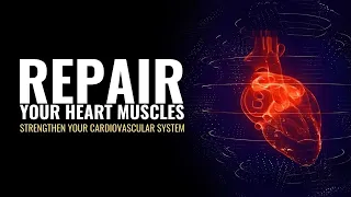 Repair Your Heart Muscles Regulate Blood Flow | Strengthen Your Cardiovascular System | Heal Heart