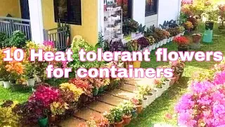 10 Heat tolerant flowers for containers | Flowers that love full sun | Summer flowers