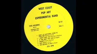 The West Coast Pop Art Experimental Band – Volume 1 1966 *Insanity*
