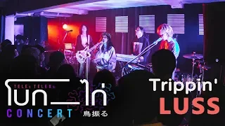 LUSS - Trippin (Live at TELEx TELEXs โบก-ไก่ Concert)