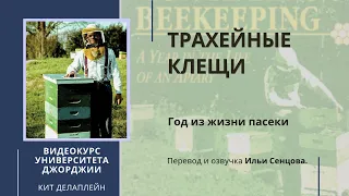 Трахейные клещи и акарапидоз: опасность, диагностика, методы борьбы (Университет Джорджии, США)